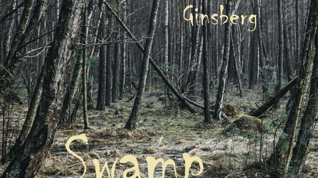 "Swamp" - hard rock