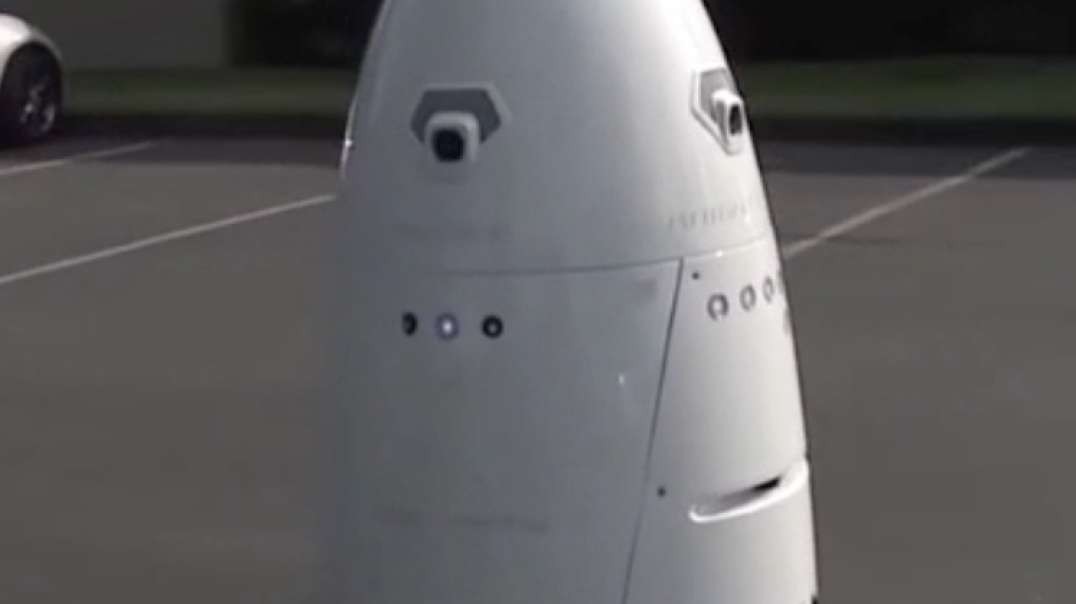 The First Autonomous Sex Toy Coming to a Street Near You