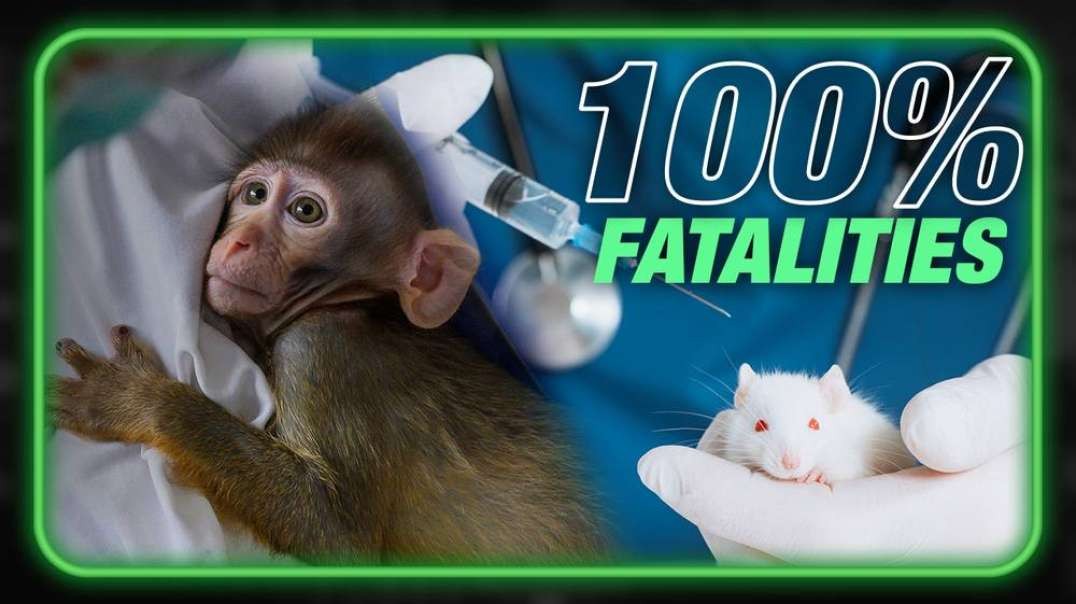 Governments   Universities Secretly Studied COVID Vaccine Before Rollout- Shots Killed 100% of Mice and Monkeys