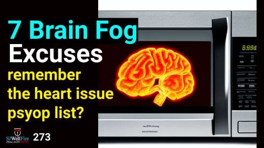Brain Fog Excuses - What is the Real Cause?  Psyop?