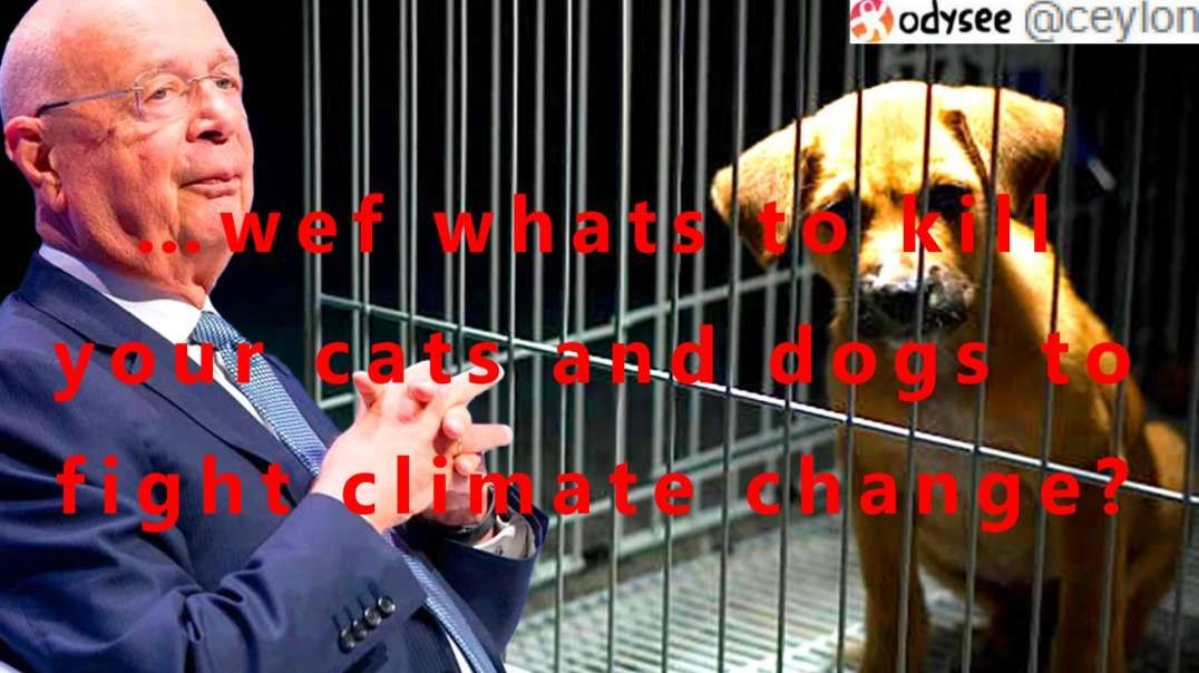 …wef whats to kill your cats and dogs to fight climate change?
