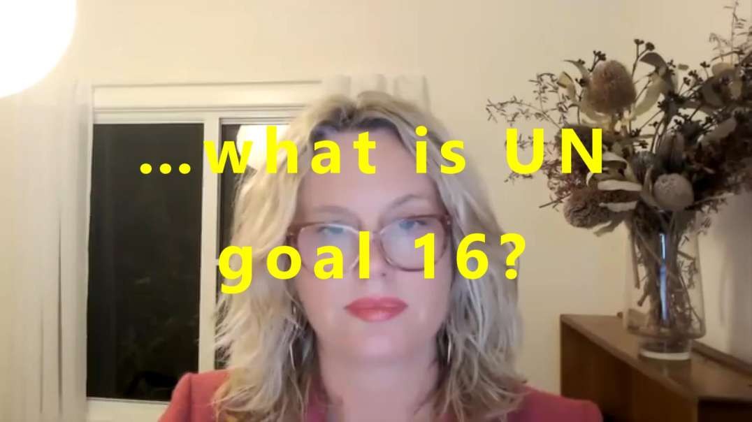 …what is UN goal 16?