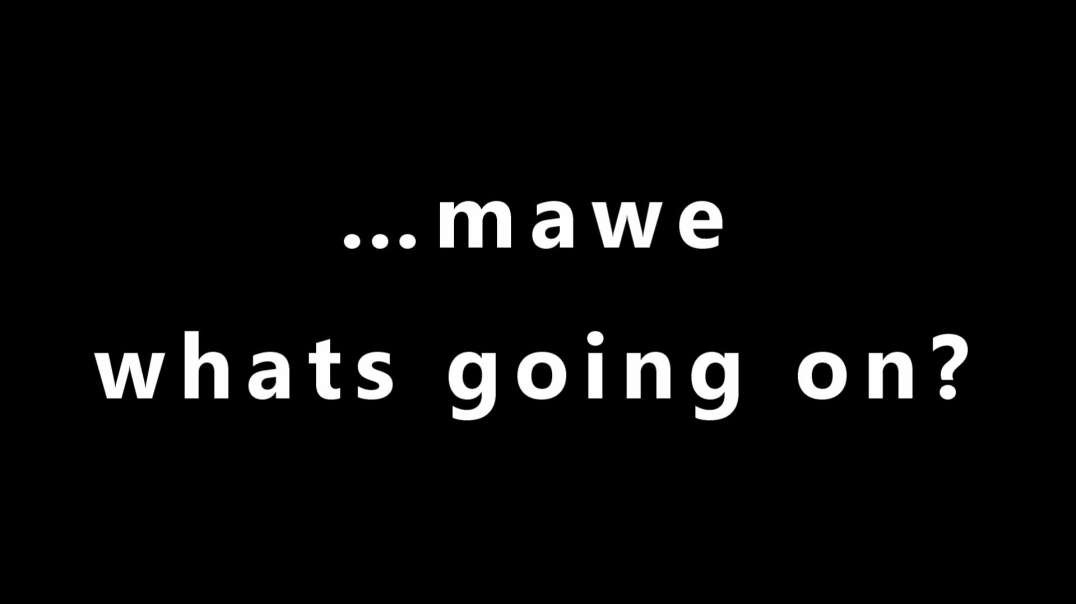…mawe whats going on?