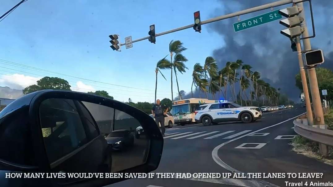Lahaina Maui Fires Burning Incompetence or Nefarious Behaviors travel4animals