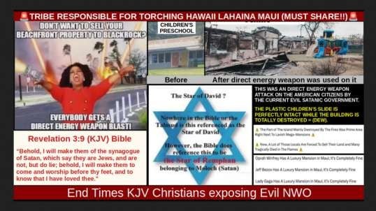 🚨 TRIBE RESPONSIBLE FOR TORCHING HAWAII LAHAINA MAUI (MUST SHARE!!)