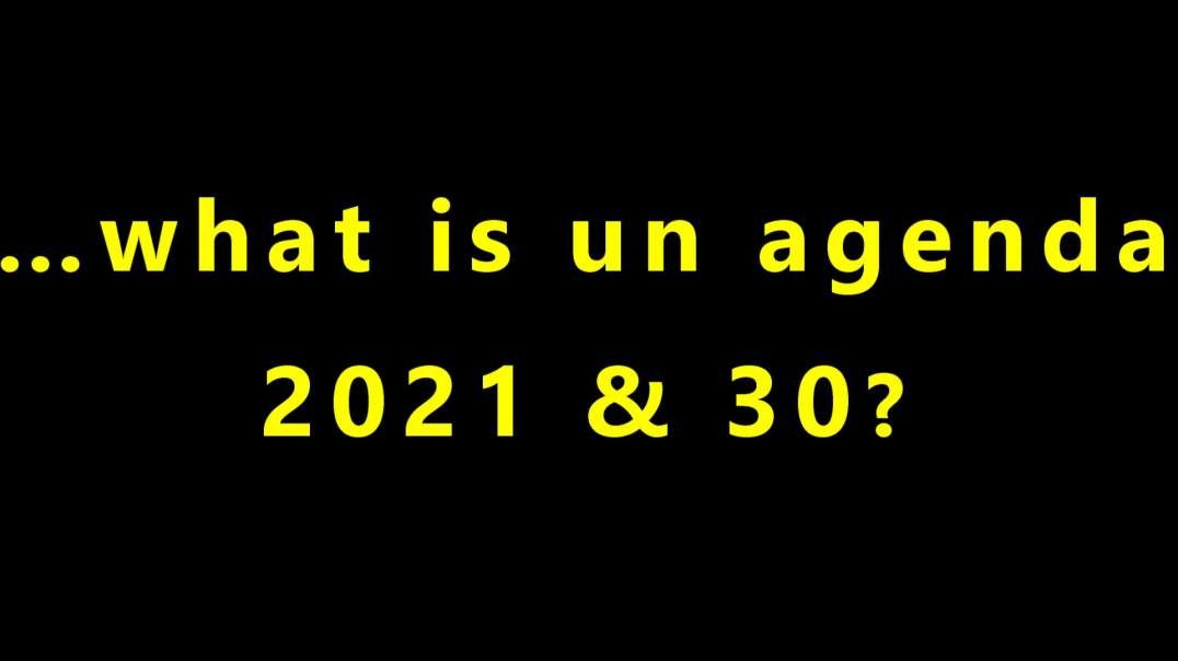 …what is un agenda 2021 & 30?