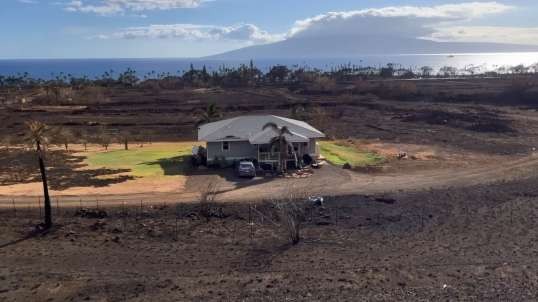 Lahaina Maui Fires thru the eyes of a volunteer ladolcevida