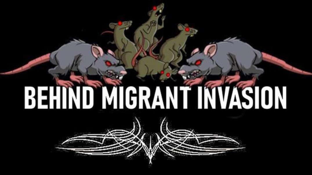 🚨RATS BEHIND MIGRANT INVASION HAPPENING NOW!