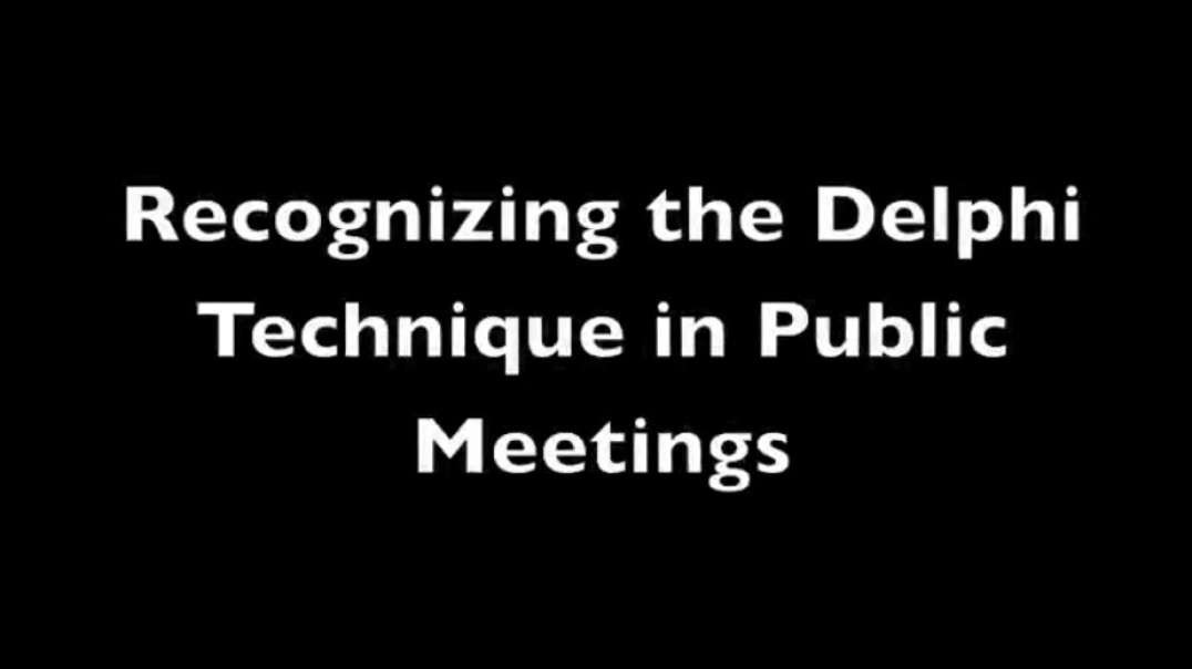 Exposing the Delphi Technique in Public Meetings