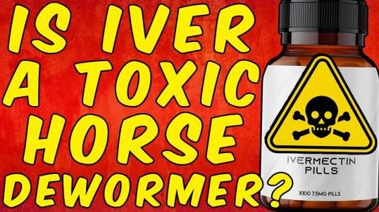 Is Ivermectin Is A Dangerous Horse Dewormer?