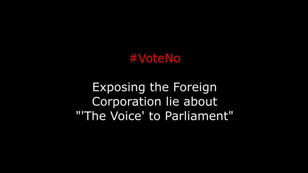 Exposing Corporate Lies -Voice to Parliament- (Vote No) [reUPLOAD]