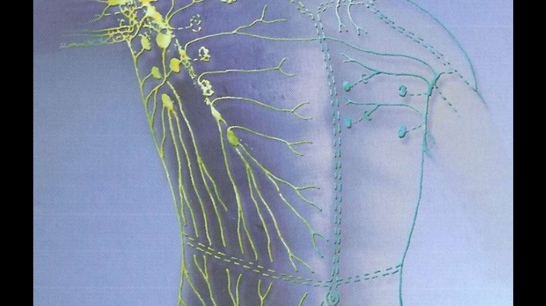 LIVE - Lymphatic Cleaning With Kate Shemirani