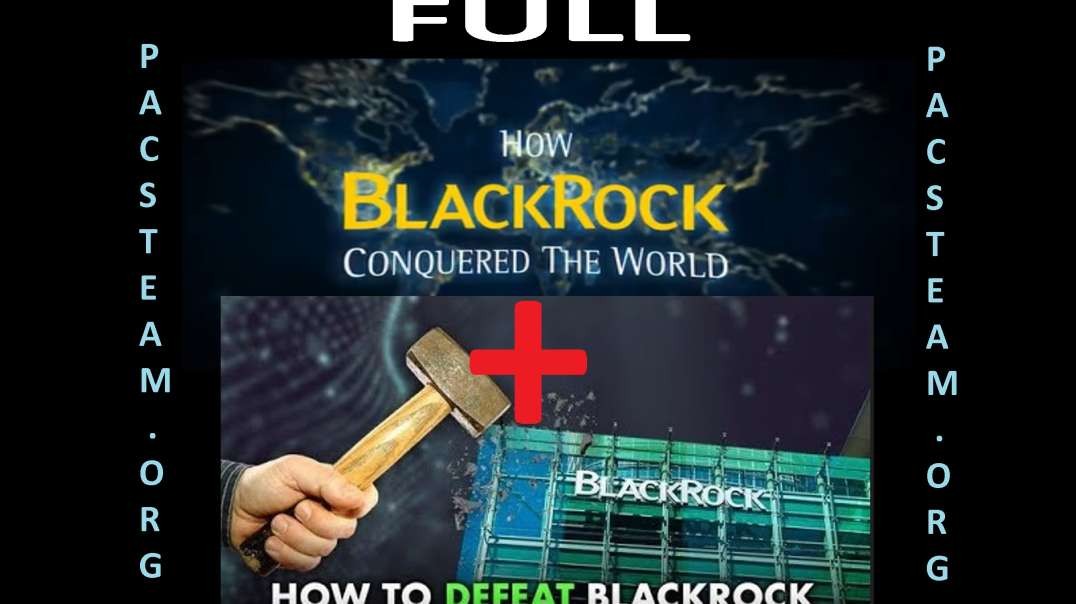 How BlackRock Conquered the World + part 2 - FULL