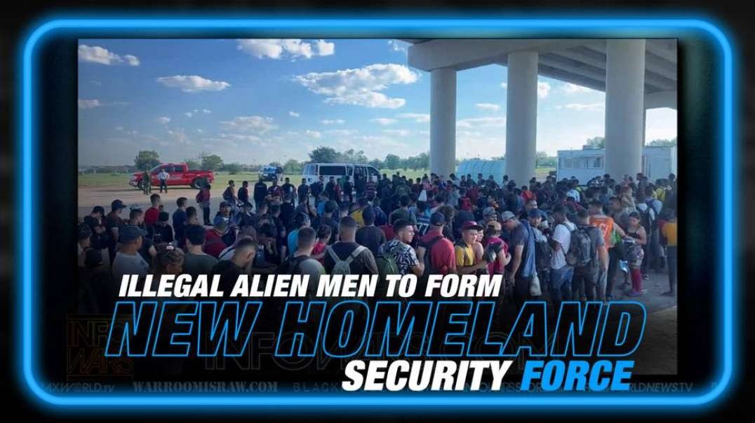 High Level Analysis- Illegal Alien Men to Form New Homeland Security Force