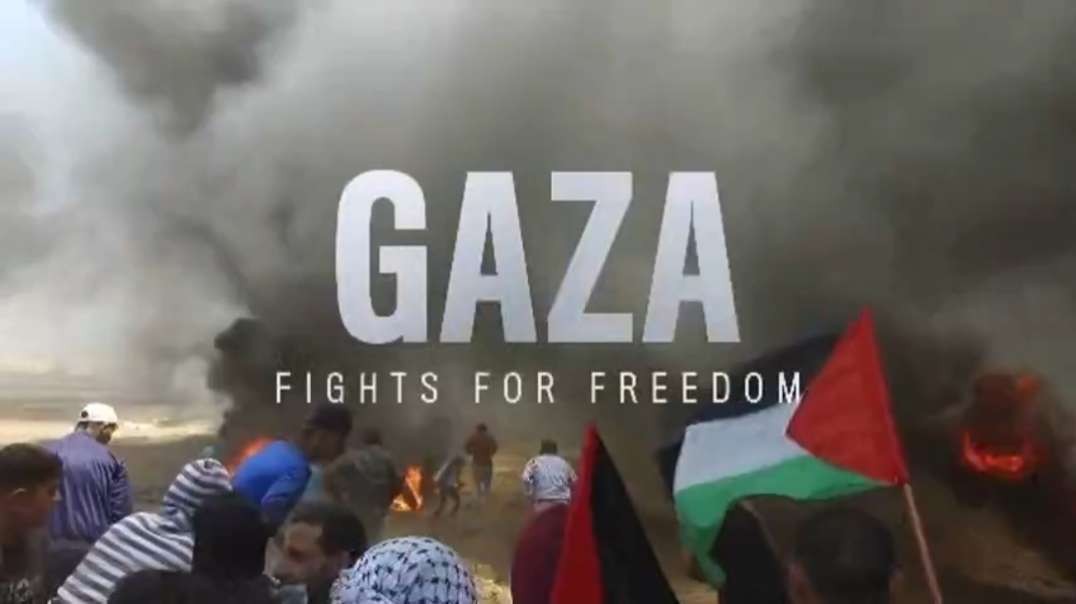 Gaza Fights For Freedom - Abby Martin (2019)