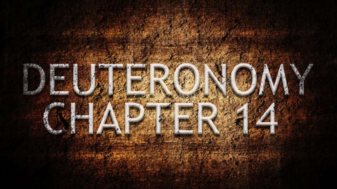 Deuteronomy Chapter 14 | Pastor Anderson