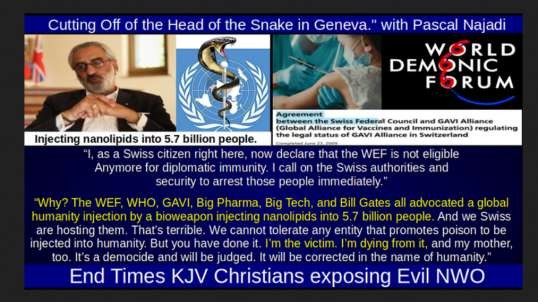 Cutting Off of the "Head of the Snake in Geneva." with Pascal Najadi