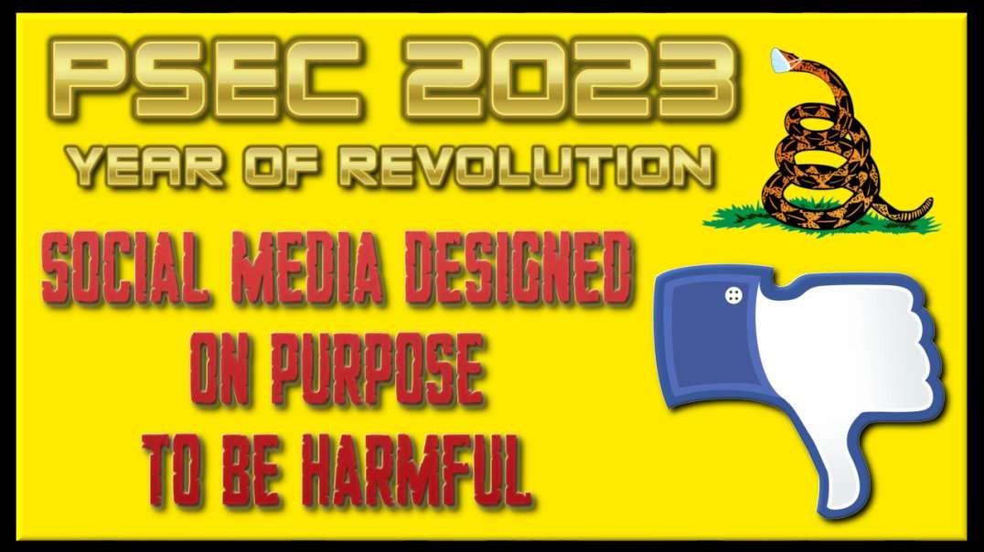PSEC - 2023 - Social Media Designed On Purpose To Be Harmful | 432hz [hd 720p]