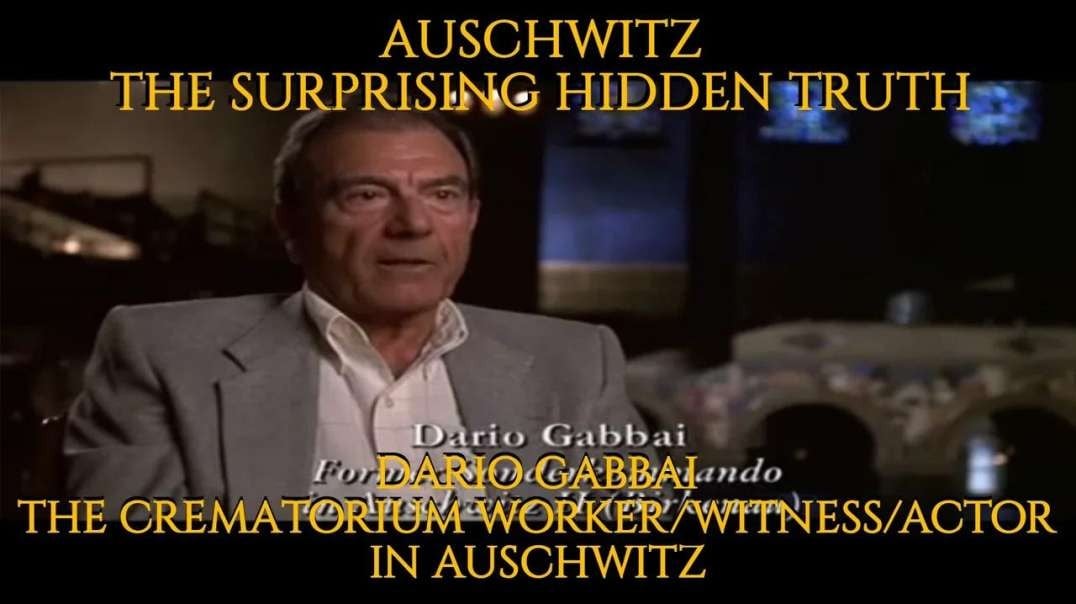 Auschwitz The Surprising Hidden Truth - by Dean Irebodd (2011)