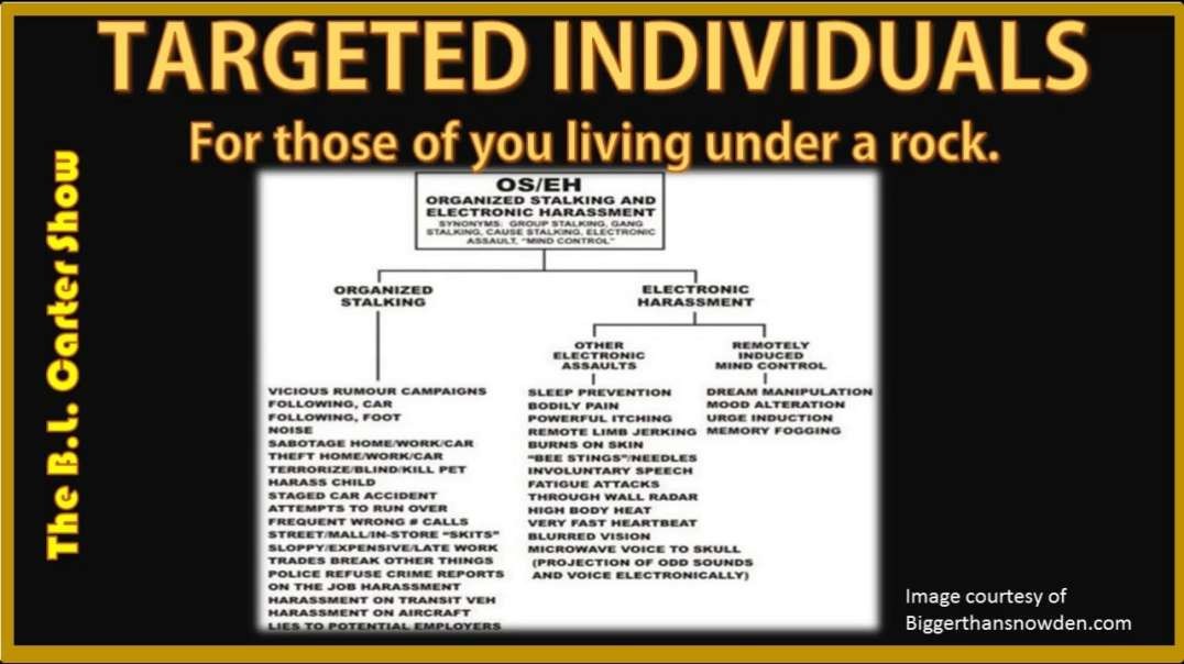 GOVERNMENT MIND GAMES USED ON TARGETED INDIVIDUALS & THE TOUGHT POLICE USED ON A TARGETED INDIVIDUAL.