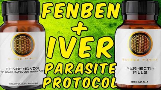 Fenbendazole + Ivermectin Parasite Protocol - (The Ultimate Parasite Protocol)