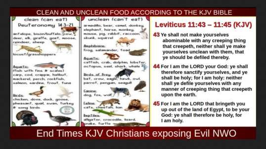 CLEAN AND UNCLEAN FOOD ACCORDING TO THE KJV BIBLE