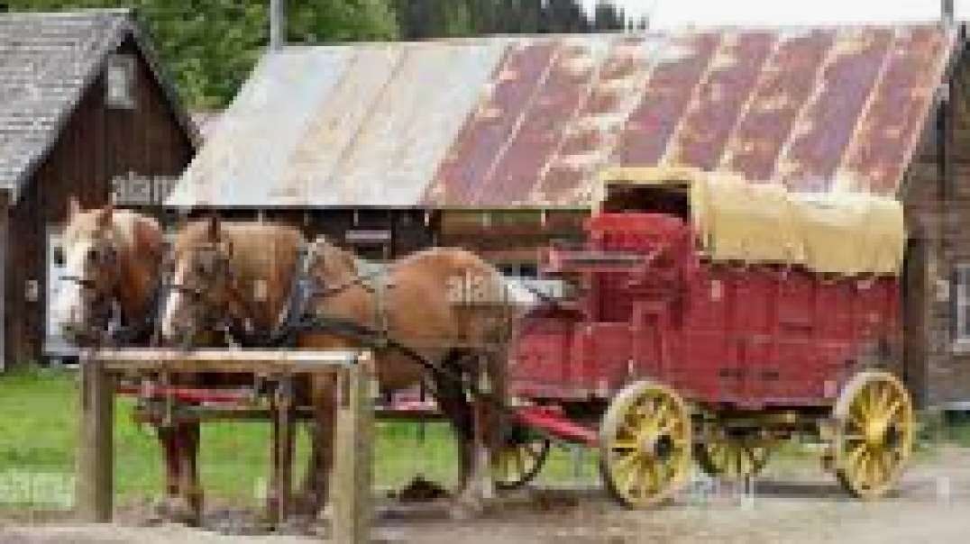 Ohio, Firewood, Buckboard Wagon Driving a Team of Horses