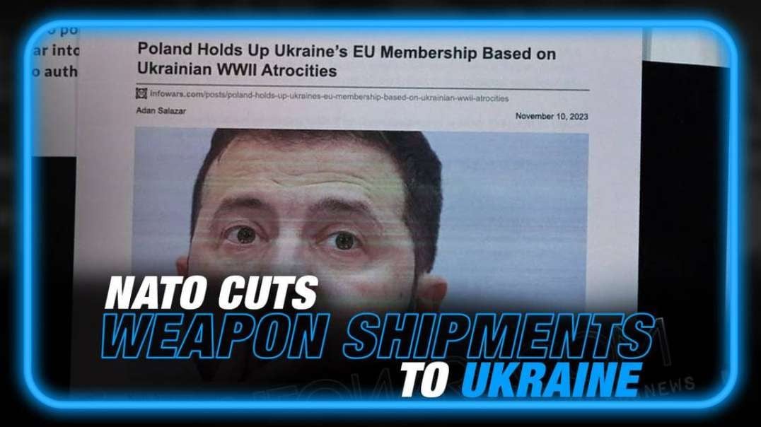 BREAKING- Russia Wins War in Ukraine, NATO Cuts Weapons Shipments as Poland Accuses Kyiv of Nazi War Crimes