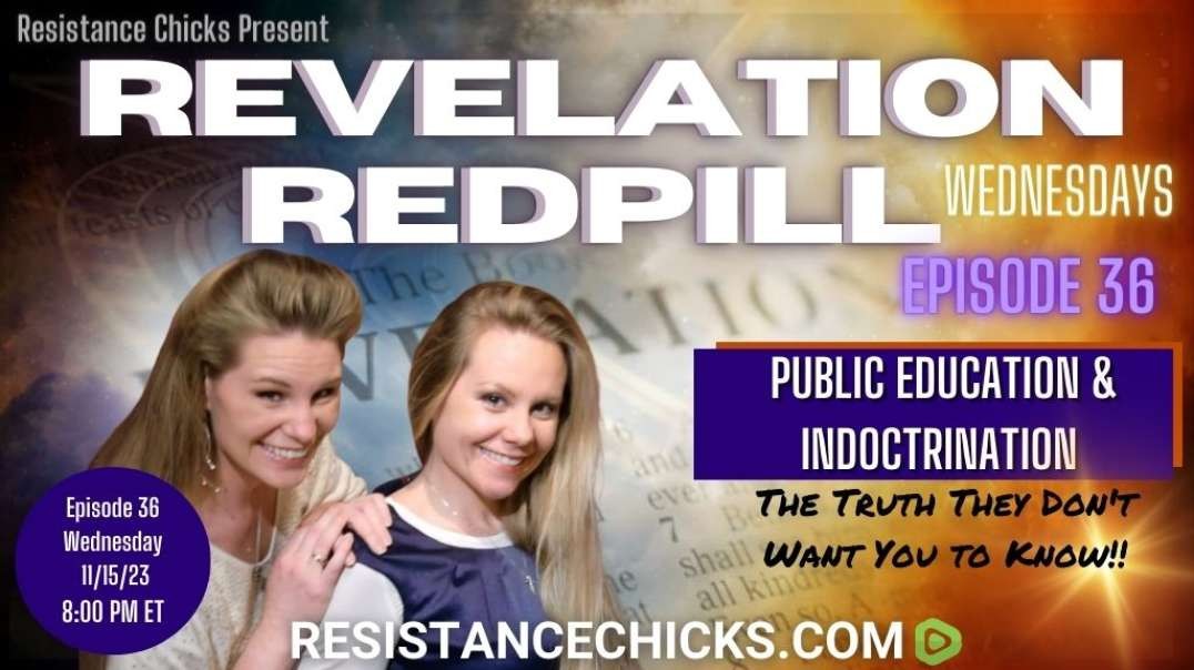 PT 1 REVELATION REDPILL EP 36- Public Education & Indoctrination
