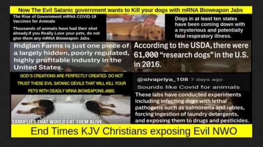 Now The Evil Satanic government wants to Kill your dogs with mRNA Bioweapon Jabs