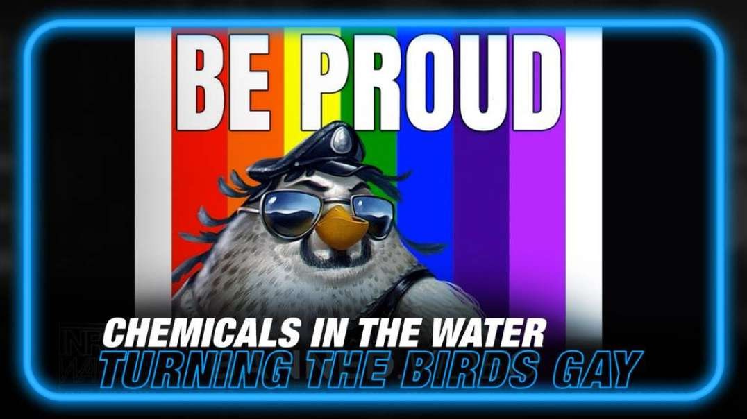 They're Putting Chemicals In the Water That Turn the Birds Gay