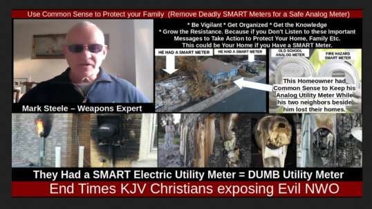 Use Common Sense to Protect your Family  (Remove Deadly SMART Meters for a Safe Analog Meter)