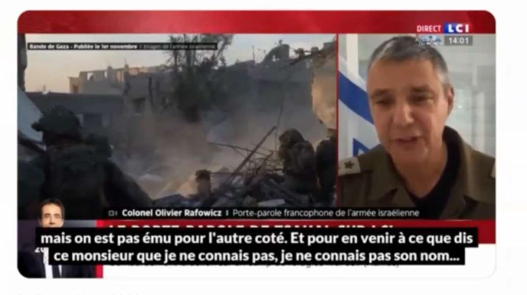 Israel Gaza War fmr Mossad Dpt Dir Says Distribute Gazans & Army French Spokesman Goofball richardmedhurst.mp4