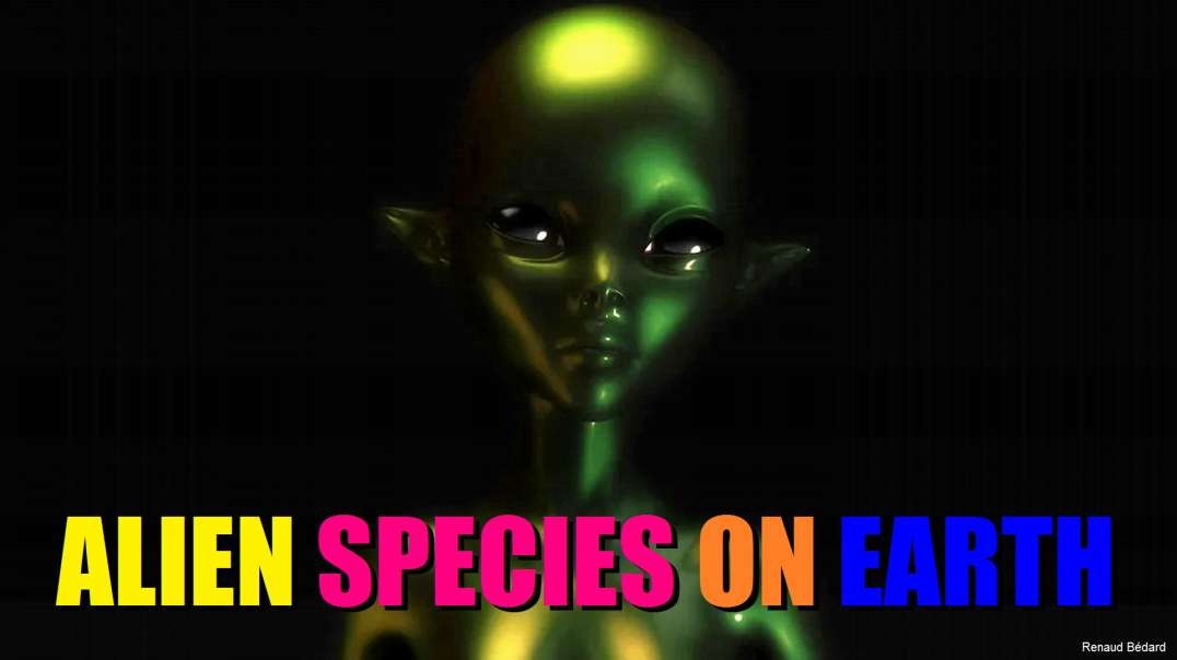 ALIEN SPECIES ON EARTH
