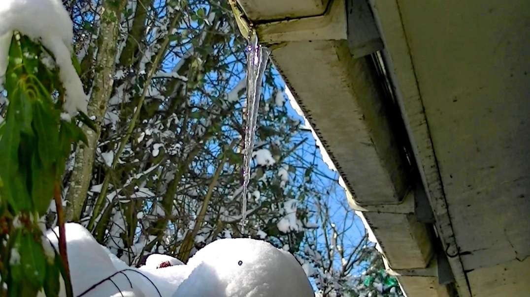 IECV NV #743 - 👀  Ice Sickles Hanging Off The Roof 2-5-2019
