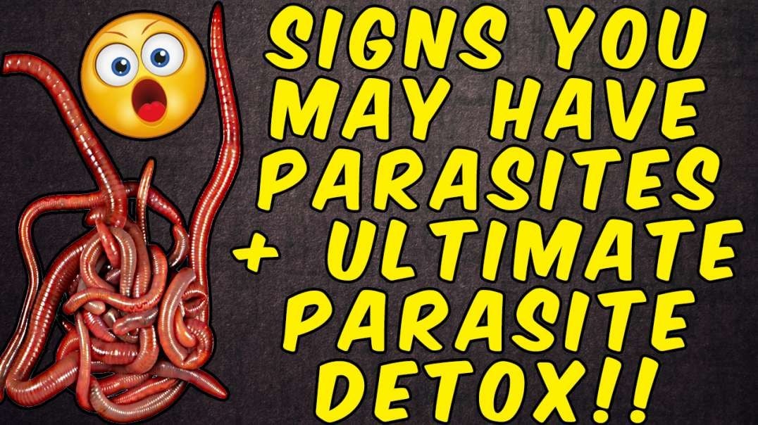Signs You Have Parasites + The Ultimate Parasite Protocol!