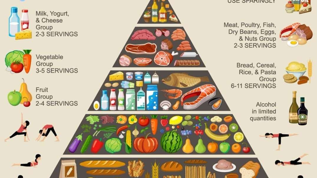 The food pyramid is literally a scam