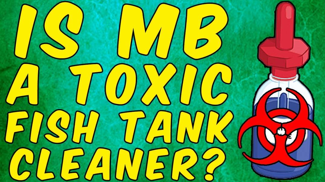 Is Methylene Blue a Toxic Fish Tank Cleaner?