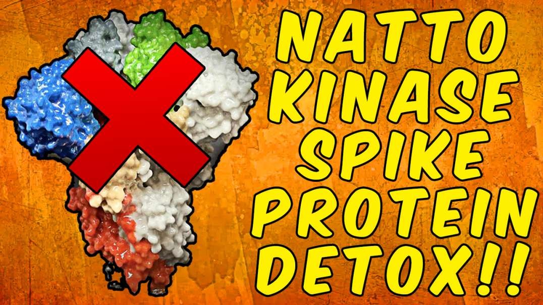 Nattokinase Spike Protein Detox Protocol! - (Science Based)
