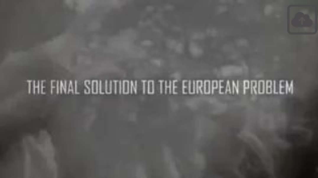 The Final Solution to the European Problem, THE GERMANS, Dec 28, 2023