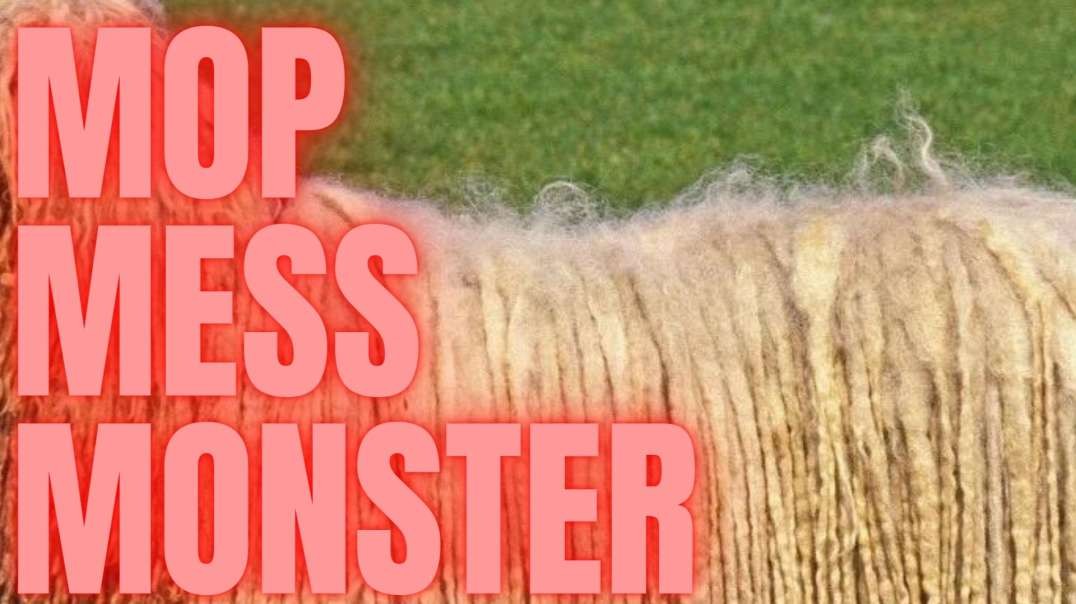Mop Mess Monster
