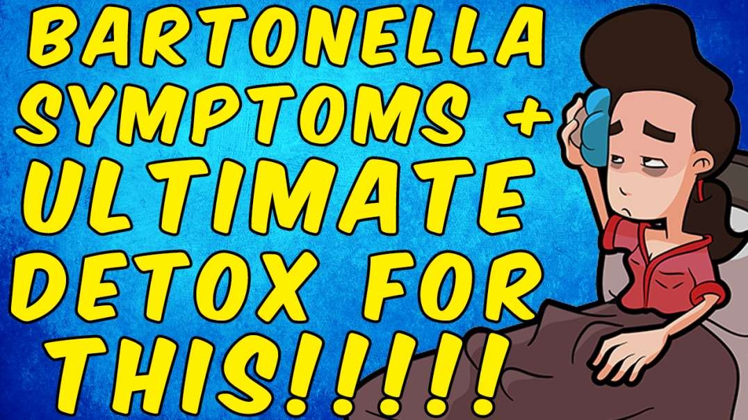 Symptoms Of Bartonella + The Ultimate Bartonella Detox!