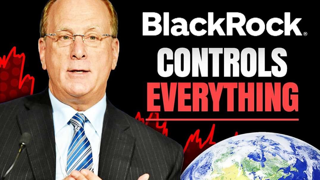 How Blackrock Conquered The World