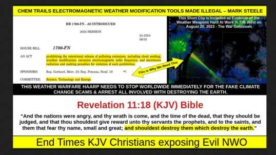CHEM TRAILS ELECTROMAGNETIC WEATHER MODIFICATION TOOLS MADE ILLEGAL – MARK STEELE