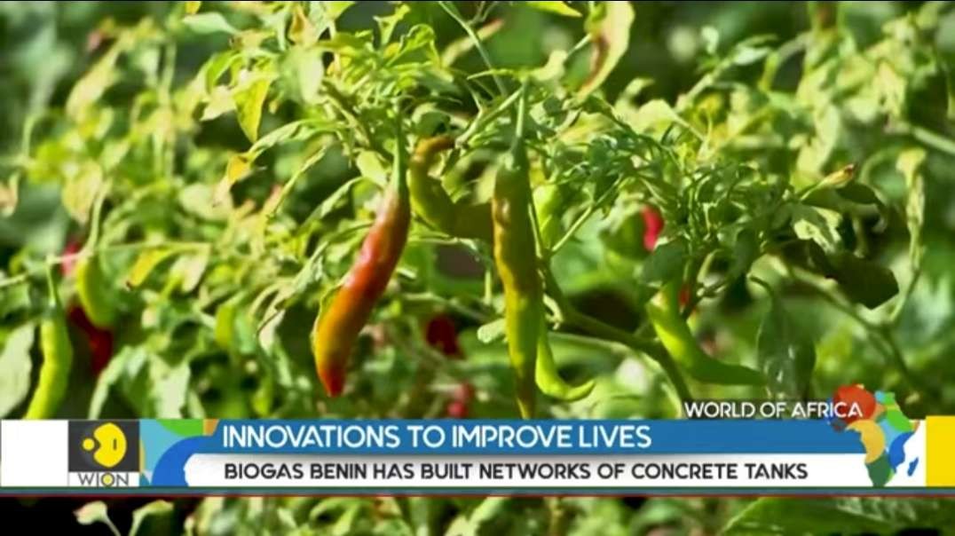 Entrepreneur harnesses biowaste to power homes, farms | World of Africa