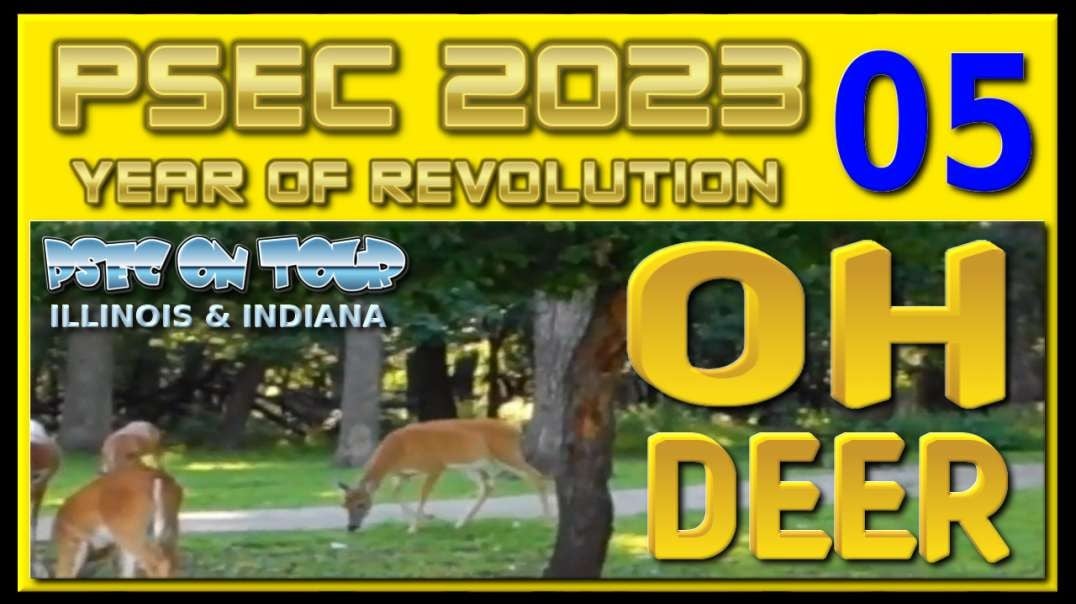 PSEC - 2023 - PSEC ON TOUR - Illinois & Indiana | SEC05 - Oh Deer | 432hz [hd 720p]