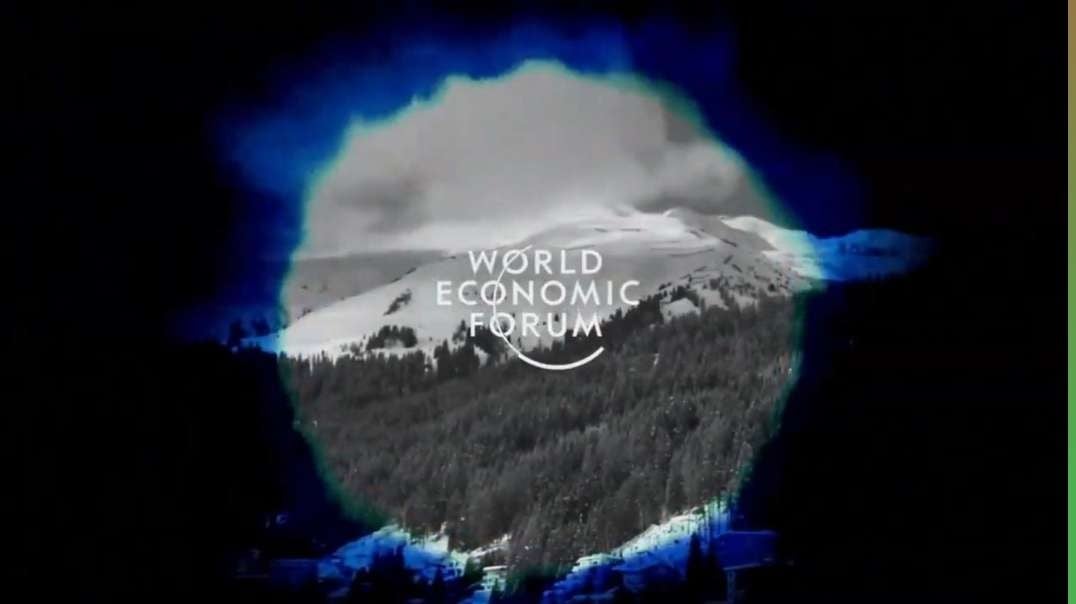 Um, They Are Trying To Delete This Everywhere (WEF)