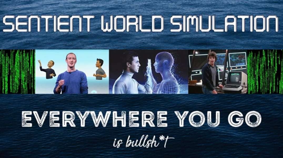 Sentient World Simulation NWO Modelling You As One Of Their (not-linked-up) Nodes