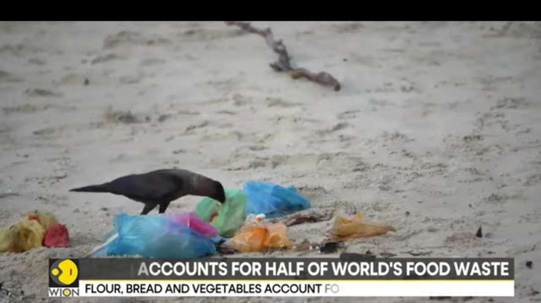 Saudi Arabia accounts for half of world's food waste, as per UN reports | WION