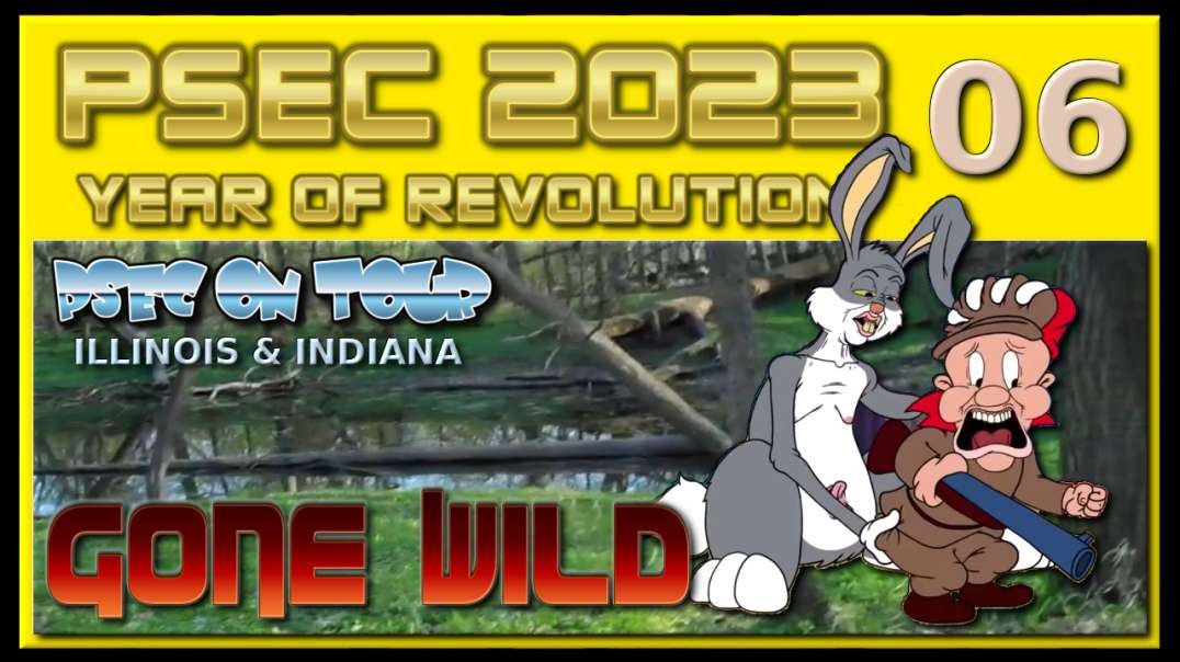 PSEC - 2023 - PSEC ON TOUR - Illinois & Indiana | SEC06 - Gone Wild | 432hz [hd 720p]